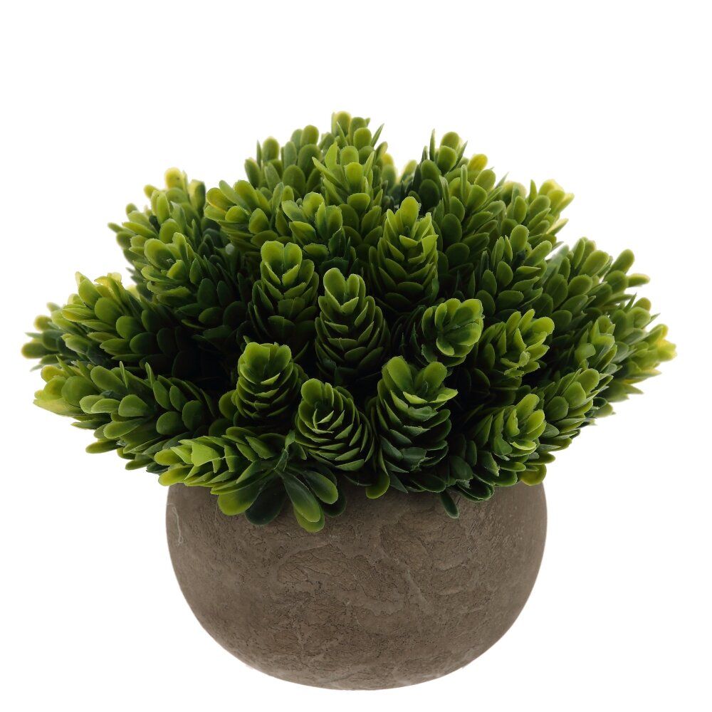 GAEM Цветочная композиция, L14 W14 H13,5 см