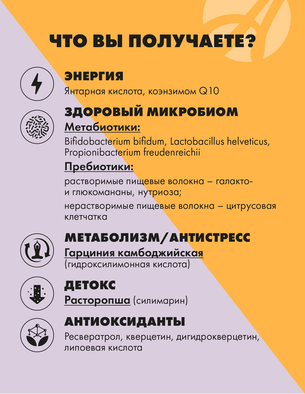 Виталити Фуд Эссеншл (Vitality Food) (14 пакетов) Совершенная система питания, обеспечивающая организм полным набором необходимых веществ, замена приема пищи
