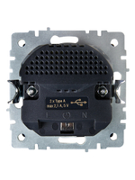 BRITE Розетка 1-местная с заземлением с защитными шторками 16А с USB A+A 5В 2,1А РЮш10-1-БрС сталь IEK
