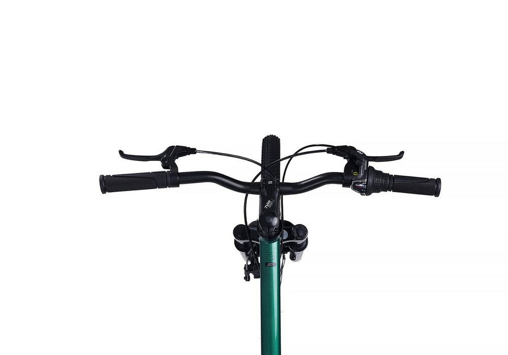 Maxiscoo "7BIKE" 24'' M300 (2024)