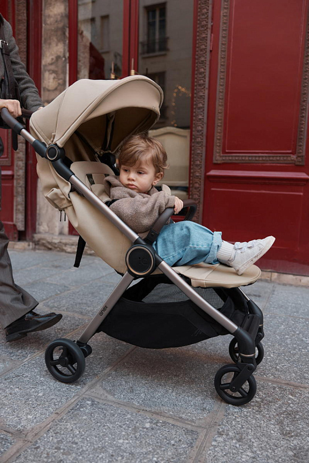 Детская коляска Anex iQ Premium NT 2 в 1 iQ-13-DNA seal