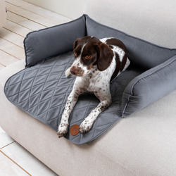 Диванный лежак из микровелюра, серый 90х60 Rachel WOW