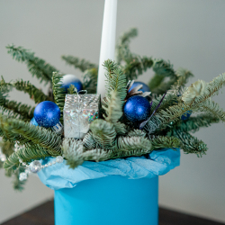 Новогодняя композиция из нобилиса 2