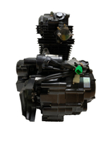 Двигатель в сборе LX166FML 223 куб.см SCR250