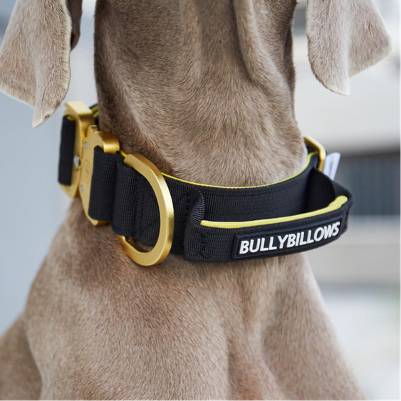 BullyBillows