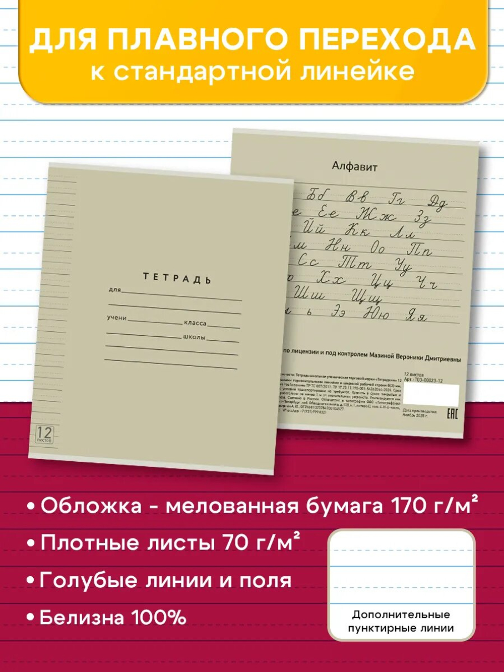 Набор тетрадей ТЕТРАДКИН, широкая линия с доп. пунктирной линией 3 мм , 12 л, цвет - серый, 10 шт