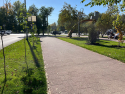 Тротуарная плитка ВАН, форма Квадрат 300*300, h=80мм