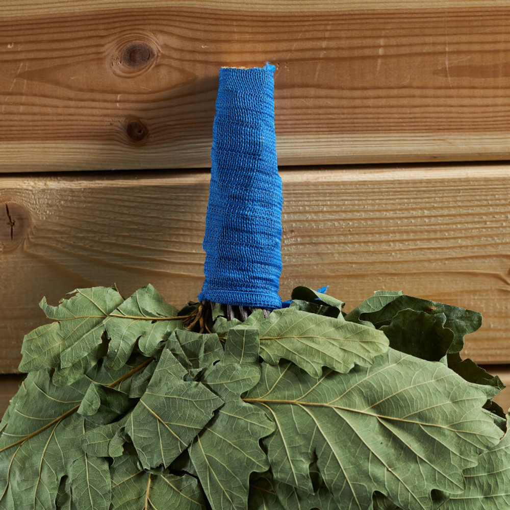 Веник дубовый «Кавказский Профессиональный» (обмот. ручка резинкой)_3.jpg