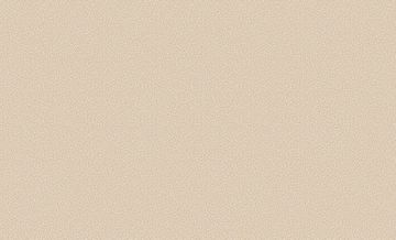 Обои флизелиновые Белвинил Континенты фон 61 (БВ11230429-61)