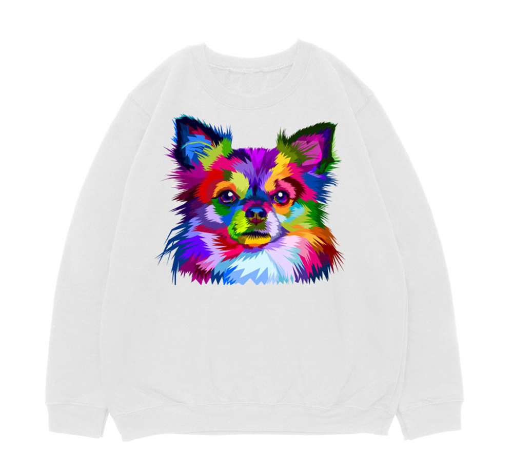 Свитшот "Разноцветный Чихуахуа"