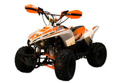 Квадроцикл RACER RC 110 Coyote