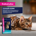 Eukanuba Senior 7+ Top Condition паучи из курицы в соусе для взрослых кошек старше 7 лет 85 г