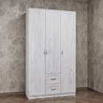 Шкаф распашной 3/2