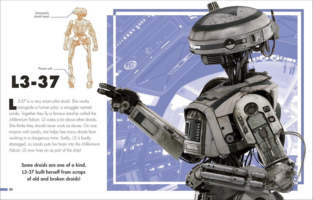Star Wars Extraordinary Droids