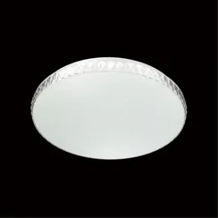 2077/DL PALE SN 194 Светильник пластик/белый/прозрачный LED 48Вт 3000-6300K D390 IP43 пульт ДУ DINA