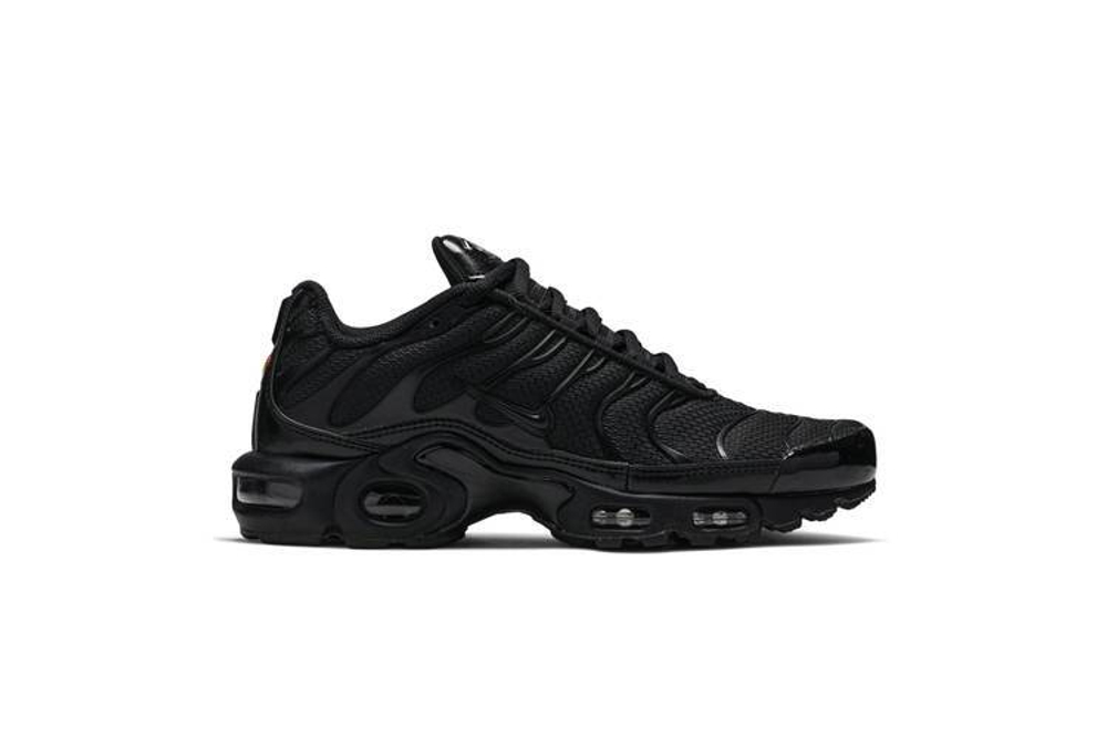 Кроссовки Nike Air Max Plus