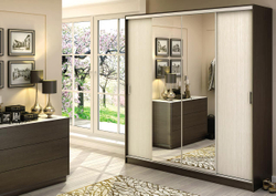 Альянс Шкаф-купе 2.0м Венге / Дуб белфорт