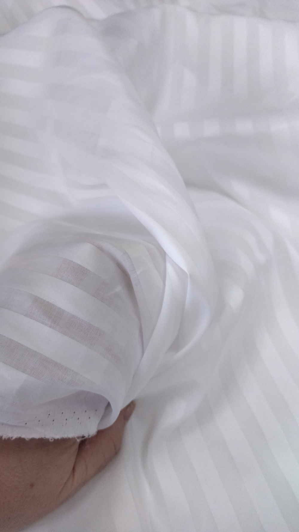 Блузочный хлопок Zegne