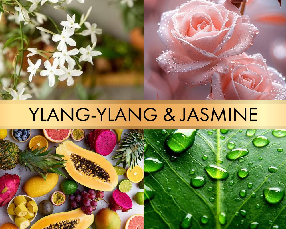 Ylang-ylang & jasmine (Иланг-иланг и жасмин)