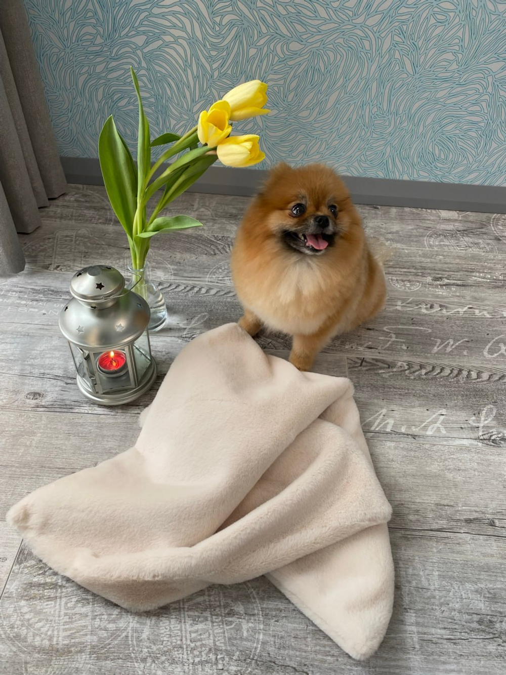 8303 MD Невероятно мягкий плед PREMIUM кремово-бежевый, мягкий МЕХ "Furry Heart Blanket" 50х70 см