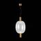 Подвесной светодиодный светильник ST Luce Allenore SL1582.313.01
