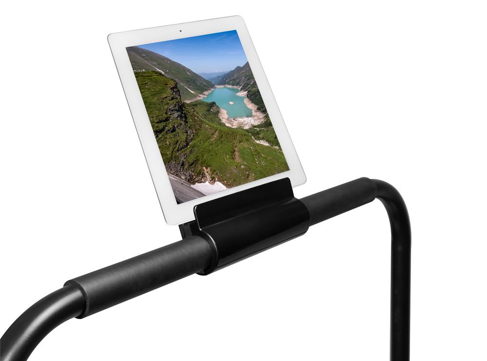 Беговая дорожка Alpin Reise T-179