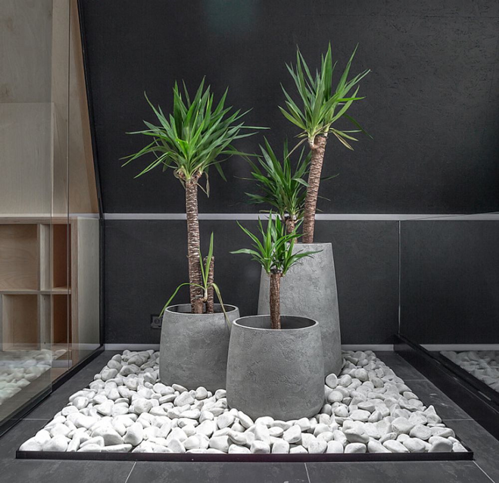 Кашпо CONE NERO