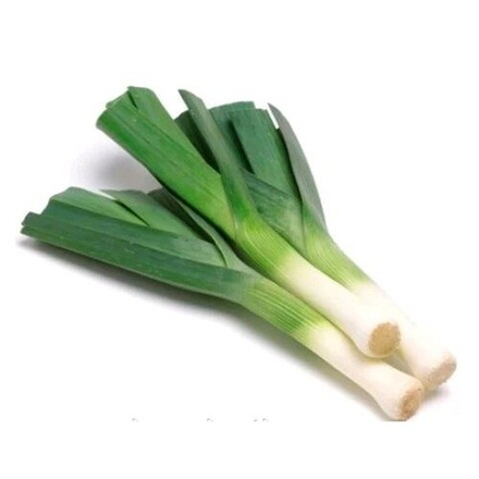 Лук порей
