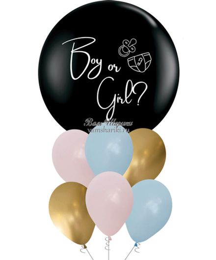 Фонтан "Гендерный черный шар"