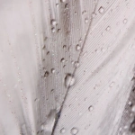 Пакет подарочный «Капля росы» 18*24*8,5 см, микс