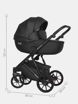 Коляска MONTANA ECCO (2 в 1) (RIKO BASIC)