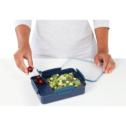 Контейнер с разделителями 975мл Sistema Renew синий