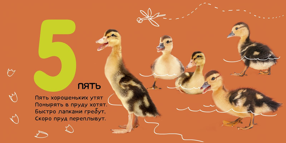 Я учу числа. Фотокнига