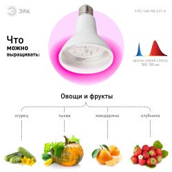 Фитолампа для растений светодиодная ЭРА FITO-16W-RB-E27-K красно-синего спектра 16 Вт Е27 | Фитолампы Е27