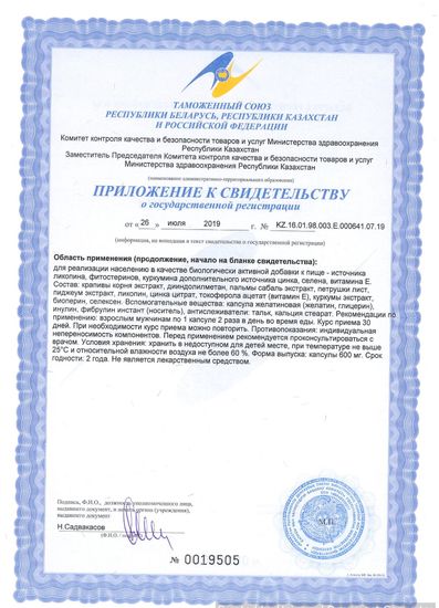 ДИМ-прост программ