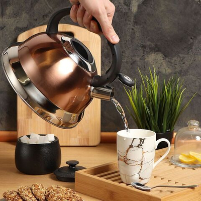 Чайник нерж, 3 л, свист, ручк пластик, Daniks, медный, M-013