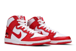 Кроссовки Nike Dunk Sb Future Court Red