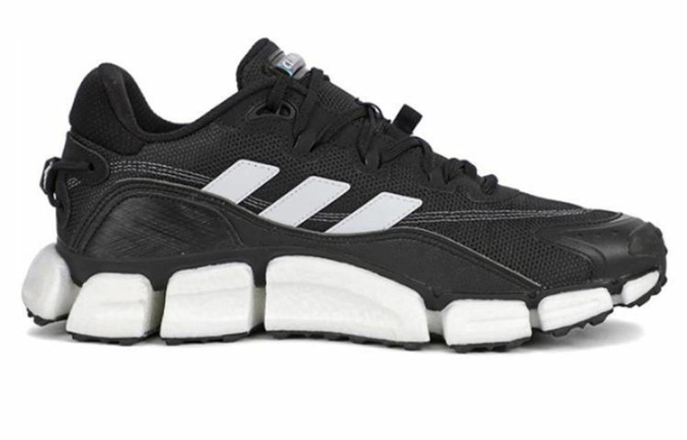 Кроссовки Adidas Climawarm Boost