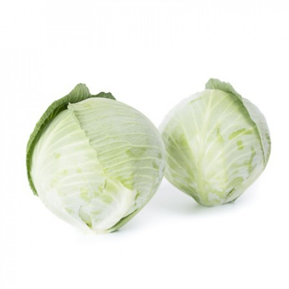 Аксиома F1 семена капусты белокочанной – фото 4