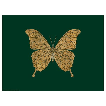 IKEA BILD  (ИКЕА БИЛД)  -  Плакат, Хрустальная бабочка, 40x30 см