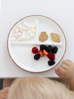 Фарфоровая тарелка секционная на силиконовой присоске, Hazelnut