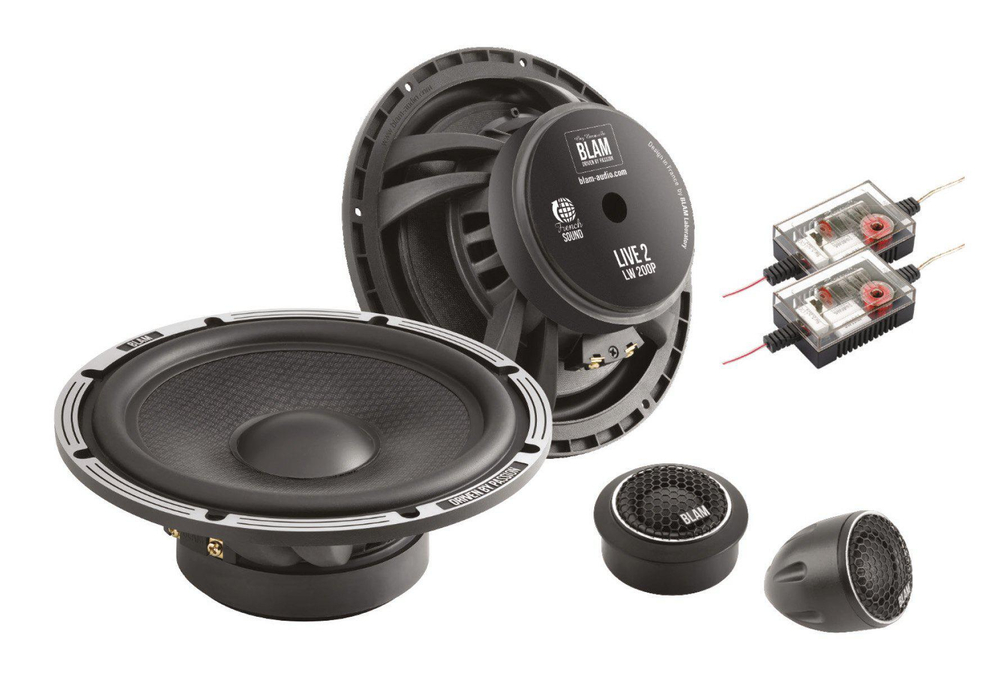 Акустика BLAM L200P - BUZZ Audio