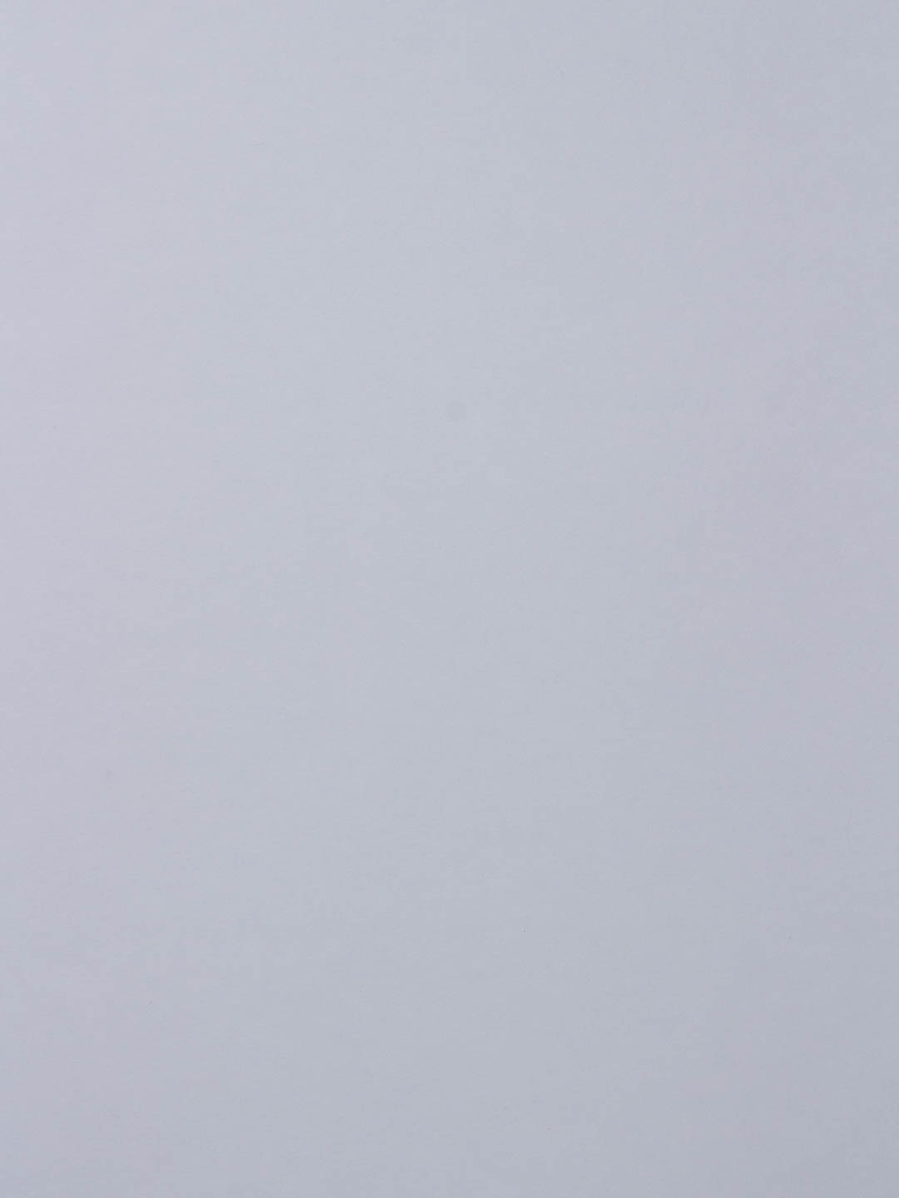 Обои Rasch Wallton 177602