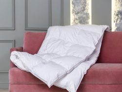 Одеяло всесезонное 140х205 German Grass White Familie Down с бортиком