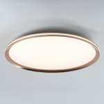 Потолочный светодиодный cветильник LED4U L3020-600 GD