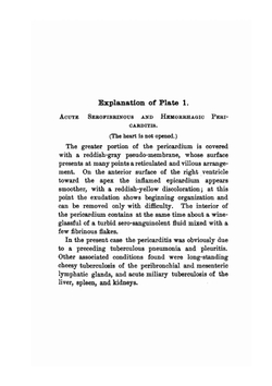 Atlas and Essentials of Pathological Anatomy. Volume 1 | Otto Bollinger