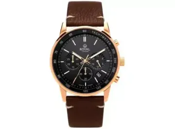 Мужские часы Royal London 41502-06