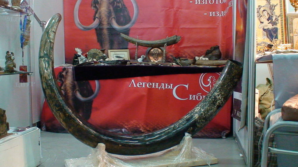 "Мелодия тысячелетий", бивень мамонта