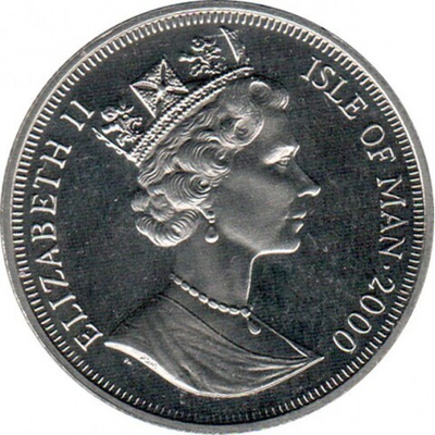 Шотландская вислоухая кошка