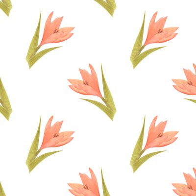 Лилии цветы